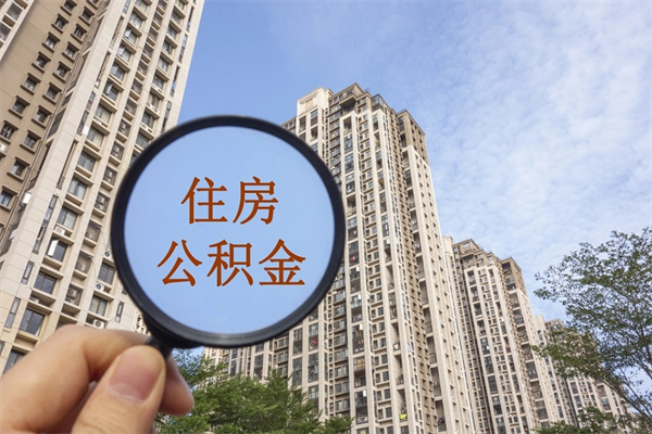 石家庄离职多久可以取住房公积金(离职多久后能取公积金) 石家庄离职多久可以取住房公积金(离职多久后能取公积金)